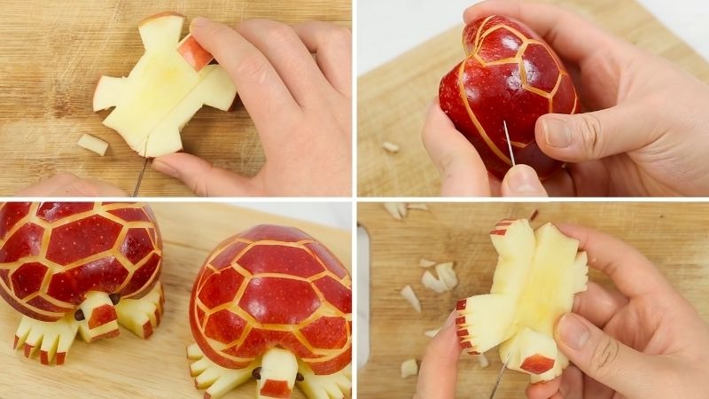 Tỉa táo tạo nên hình rùa