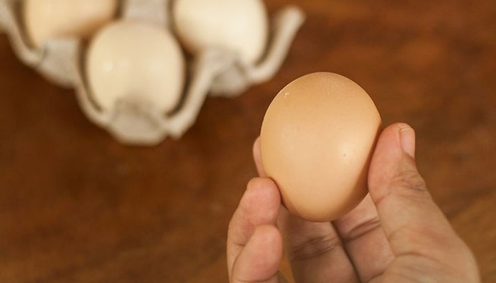 Quan sát vỏ trứng
